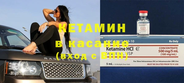 хмурый Белокуриха