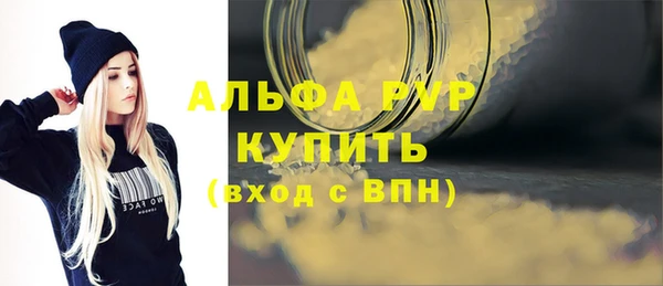 хмурый Белокуриха