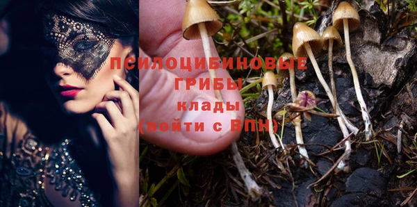 хмурый Богородск