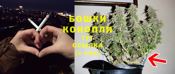 хмурый Богородск