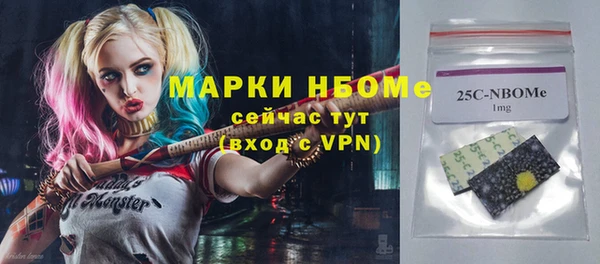 хмурый Богородск